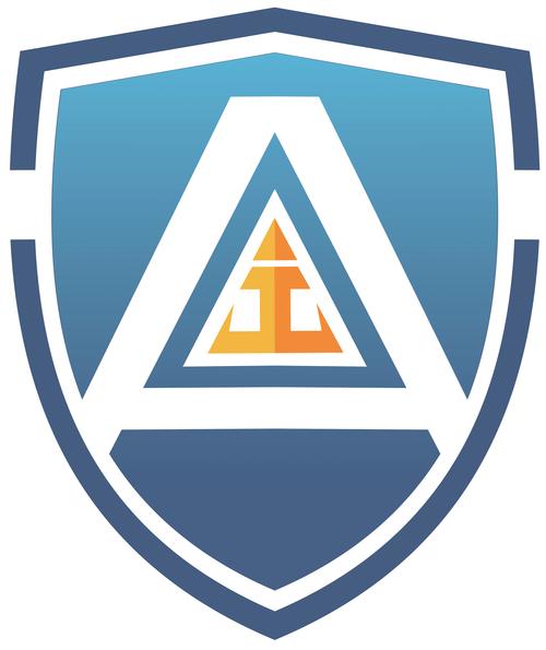 上海市政府采购网视角下的友安金网络 数字化采购生态中的协同探索